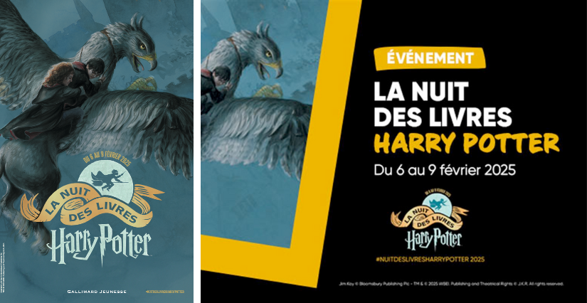 La Nuit des Livres Harry Potter à la Fnac de Grenoble Grand Place