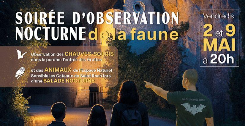 Soirée d'observation nocturne de la faune aux Grottes de La Balme 