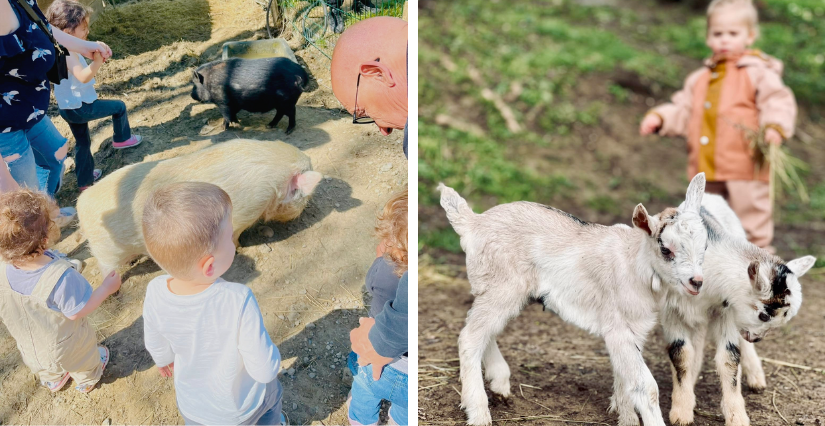 Stage Babys pour les vacances d'été, à La Forêt de Justin - Villette-de-Vienne