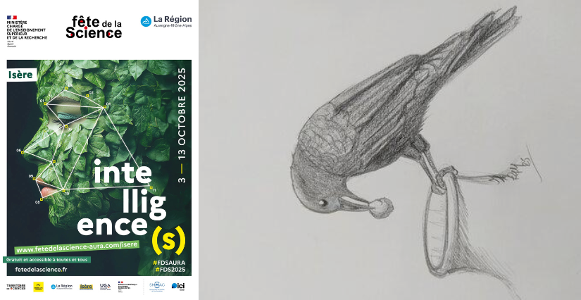 Fête de la Science 2025 : Atelier de dessin au Muséum de Grenoble