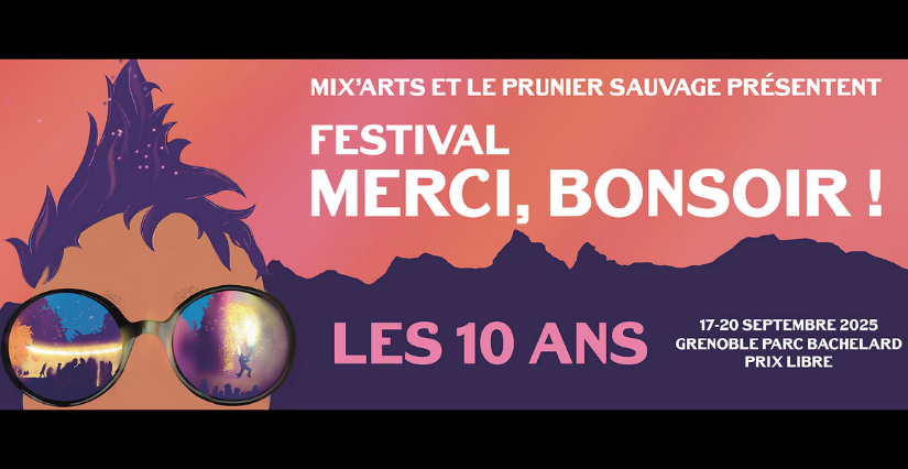 Festival "Merci, Bonsoir !" - Les 10 ans : Arts de rue et musique, à Grenoble 