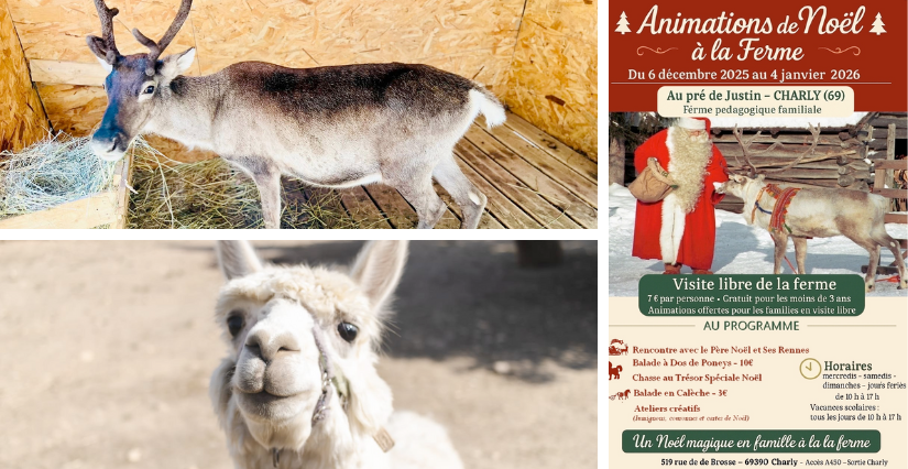 Animations de Noël à la ferme pédagogique au Pré de Justin à Charly (69)