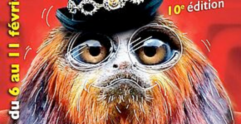 Festival À Vous de voir, le rendez-vous des petits et grands cinéphiles, à la Vence Scène - Saint-Égrève