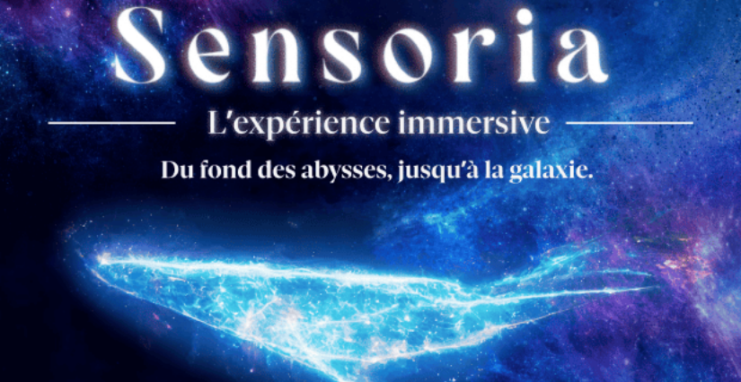 "Sensoria", l’expérience immersive à vivre pendant les vacances à la Caserne de Bonne à Grenoble