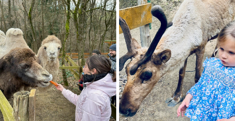 Les Fermes de Justin, à Villette-de-Vienne (38), Charly (69) et Feyzin (69)