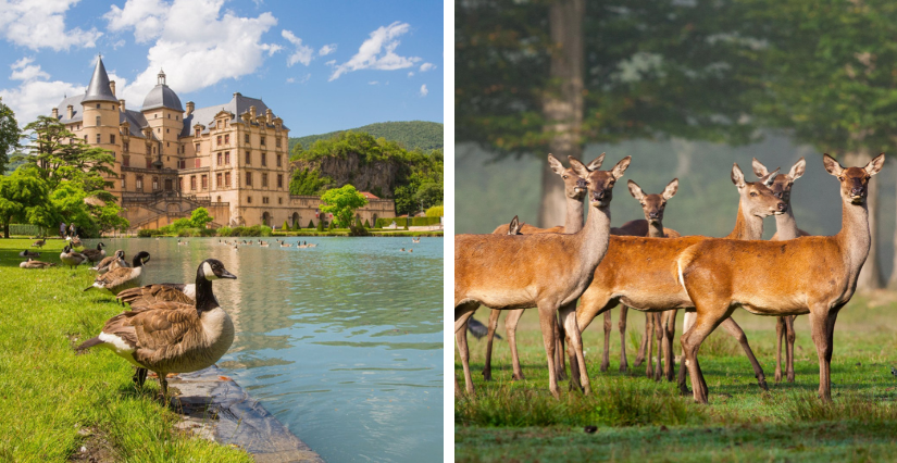 Le parc animalier du Domaine de Vizille (38)