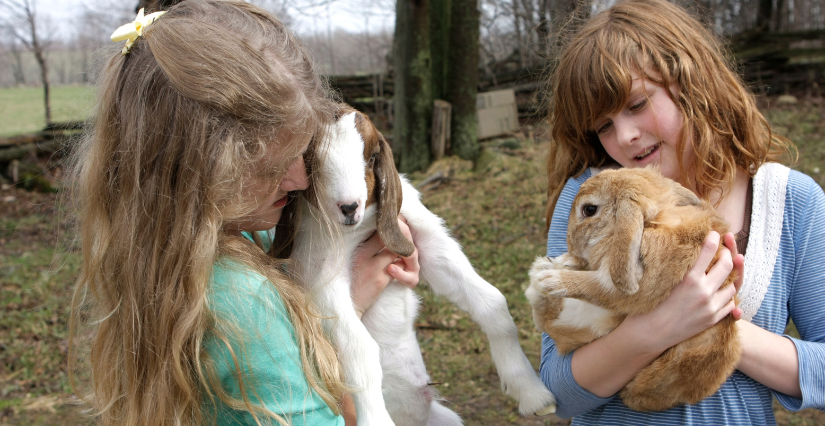 D’autres fermes sympas pour les familles en Isère