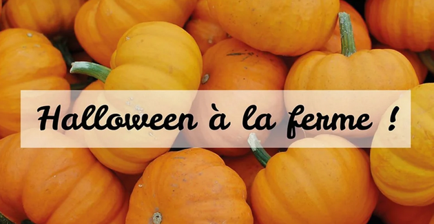 "Halloween à la ferme !", grand jeu Halloween à La Ferme de Briska - Chavanoz