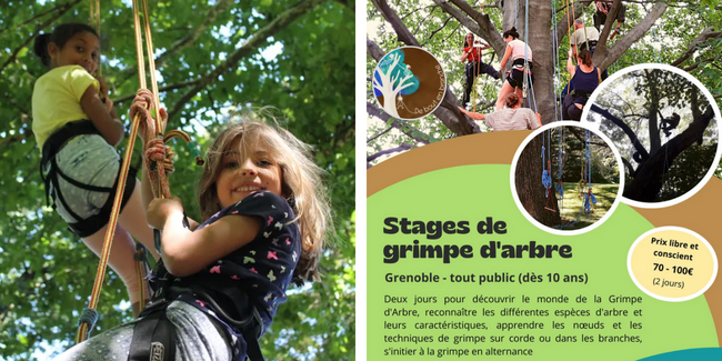 Stage de grimpe d'arbre avec De Bout en Branche - Grenoble
