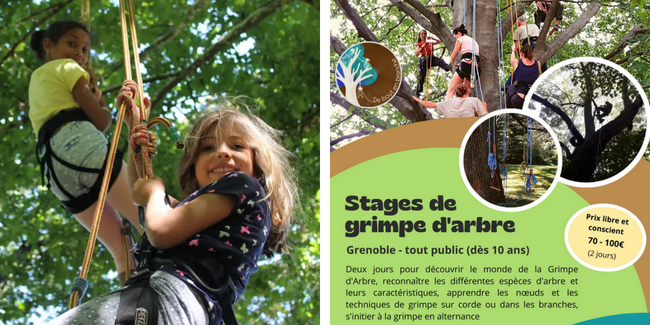 Stage de grimpe d'arbre avec De Bout en Branche - Grenoble 