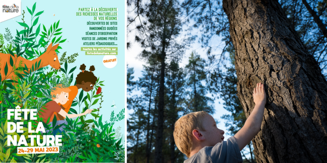 Auprès de mon arbre: balade en famille et activités - Moirans