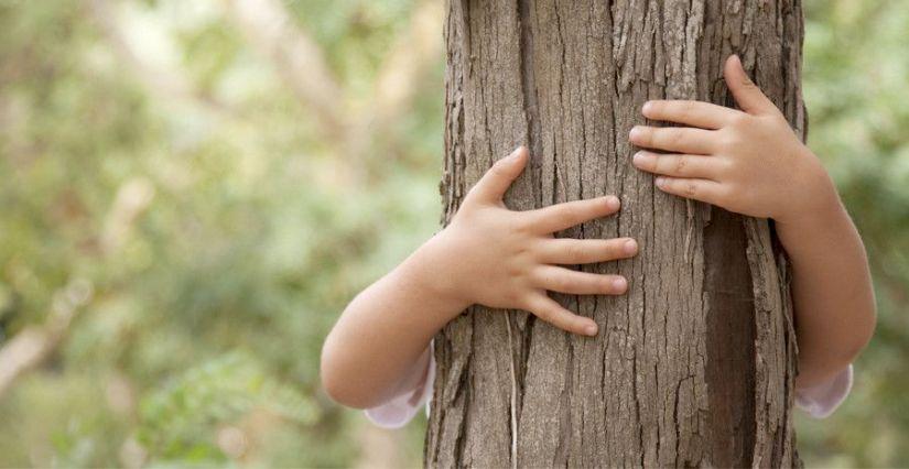 "Mercredi des enfants - Il était un arbre", atelier d'observation des arbres, au Grand Séchoir - Vinay