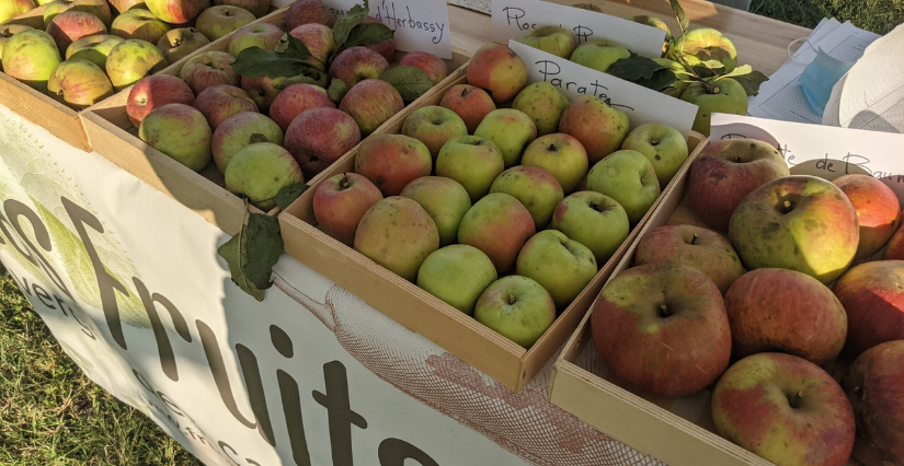 "Fête de la Pomme" en famille, au Couvent des Carmes à Beauvoir-en-Royans