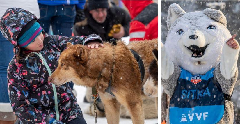 La Grande Odyssée VVF, la course de chiens de traineau à vivre en famille !