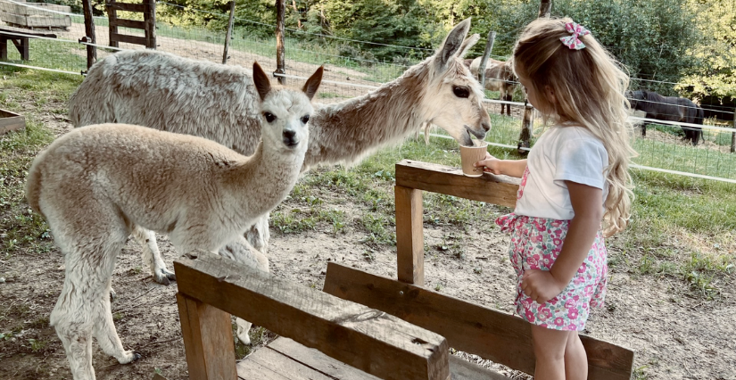 Les Fermes de Justin vous accueillent pendant les vacances de la Toussaint ! - Villette-de-Vienne, Charly et Feyzin