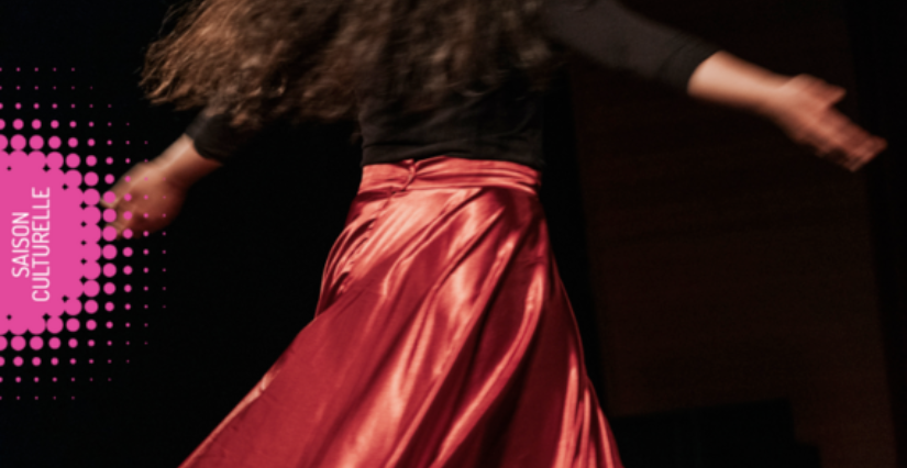 "Les Ailes de l’Infini", spectacle à l'Odyssée à Eybens