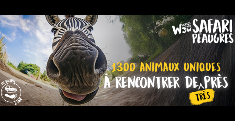 "WOW Safari Peaugres", l'aventure sauvage en voiture et à pied en famille à Peaugres