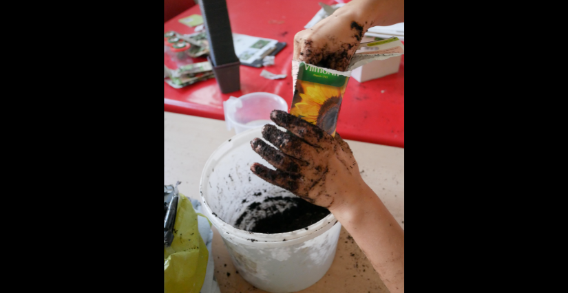 "Histoire de biodiversité !", atelier au Musée de l'Ancien Évêché à Grenoble