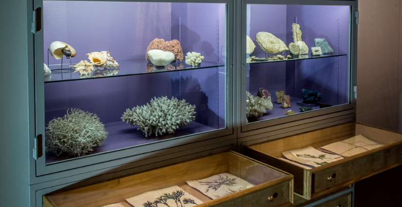 "Saint-Antoine en boîte !", atelier enfants au au Musée de Saint-Antoine-l’Abbaye