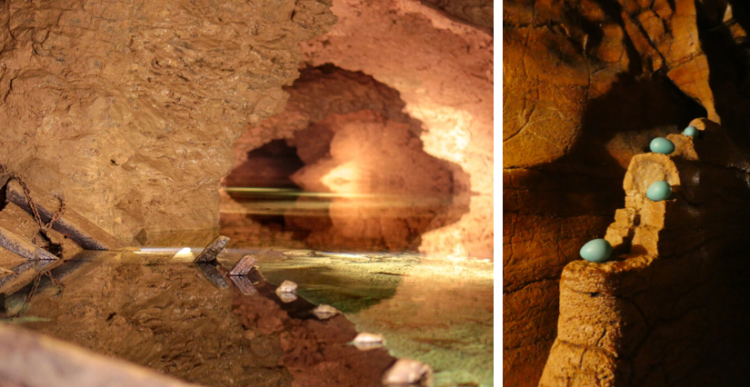 L'actu des vacances de printemps aux Grottes de La Balme - La Balme-Les-Grottes