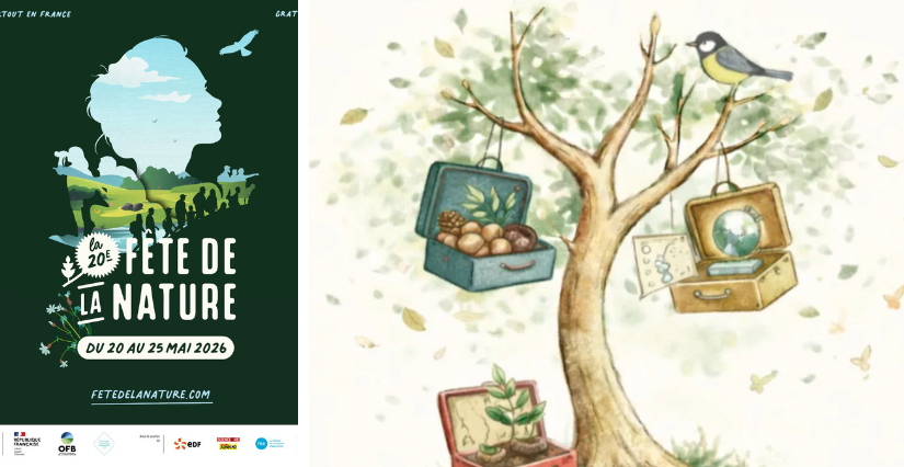 L'Arboretum ouvre ses valises, sur les traces des arbres voyageurs, à la Motte-d'Aveillans