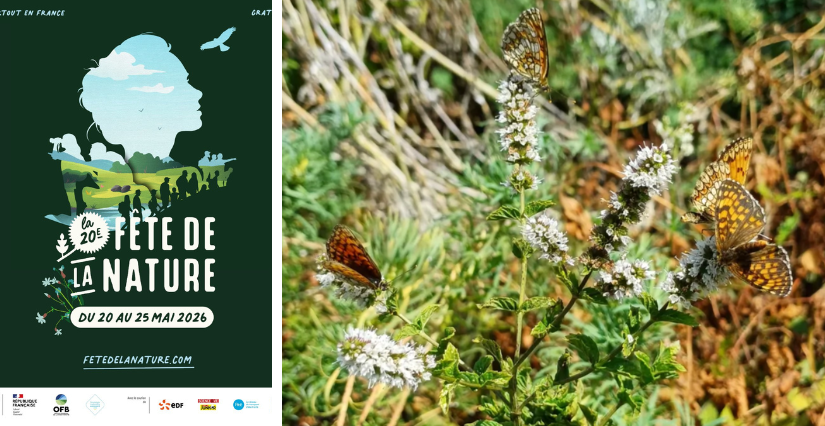 Découverte de la biodiversité au Bonheur à la Racine, à Corbelin