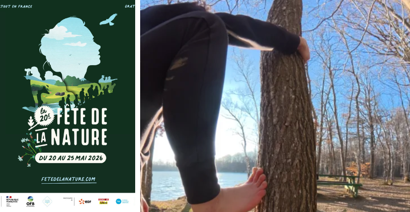 Initiation à la grimpe dans les arbres, à Saint-Pierre-de-Bressieux