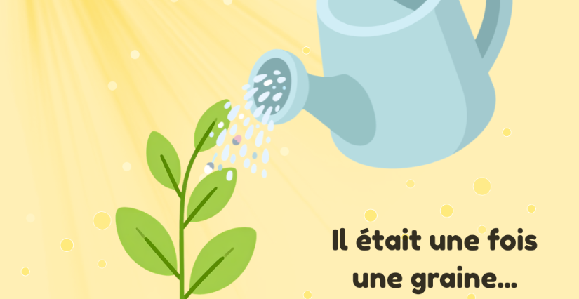 "Il était une fois une graine", ateliers enfants au Musée archéologique Saint-Laurent à Grenoble