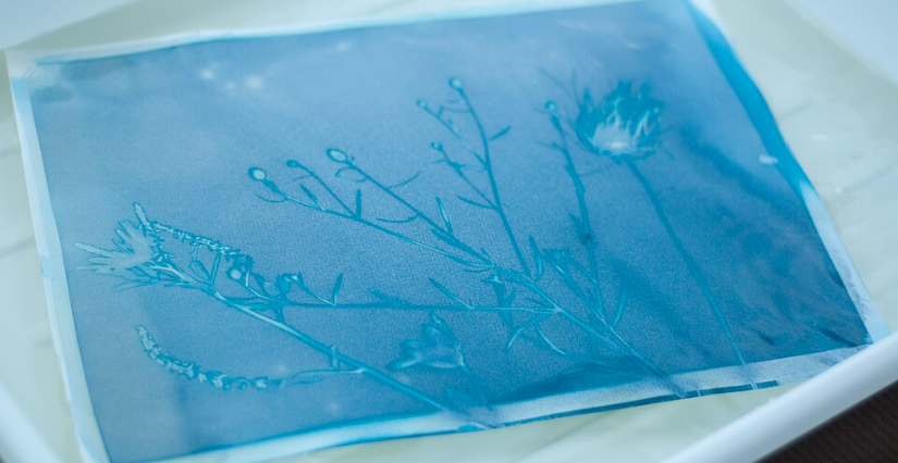 "L'école est finie ! | Impression eau et lumière", atelier cyanotype au Musée de la Résistance et de la Déportation de l'Isère - Grenoble 
