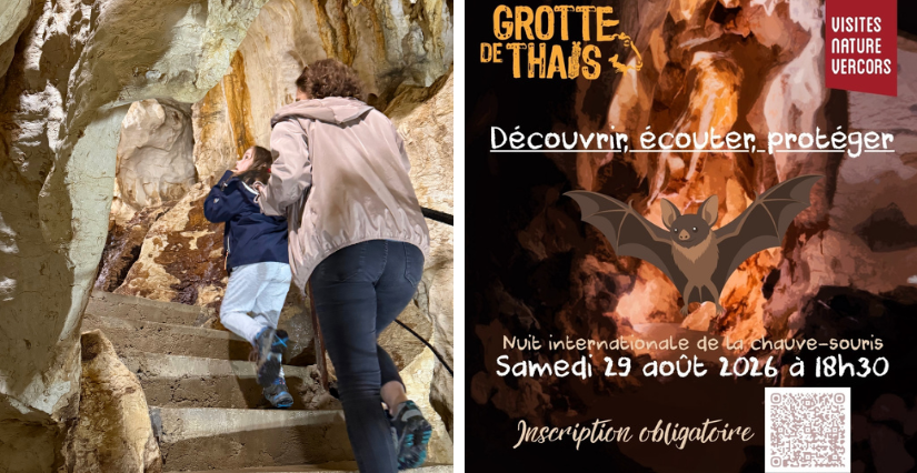 Nuit Internationale de la Chauve-Souris à la Grotte de Thaïs - Saint-Nazaire-en-Royans