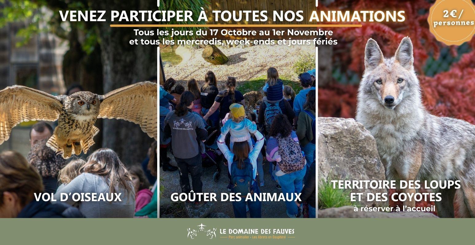Les animations des vacances de la Toussaint au Domaine des Fauves ! - Fitilieu - Les Abrets en Dauphiné