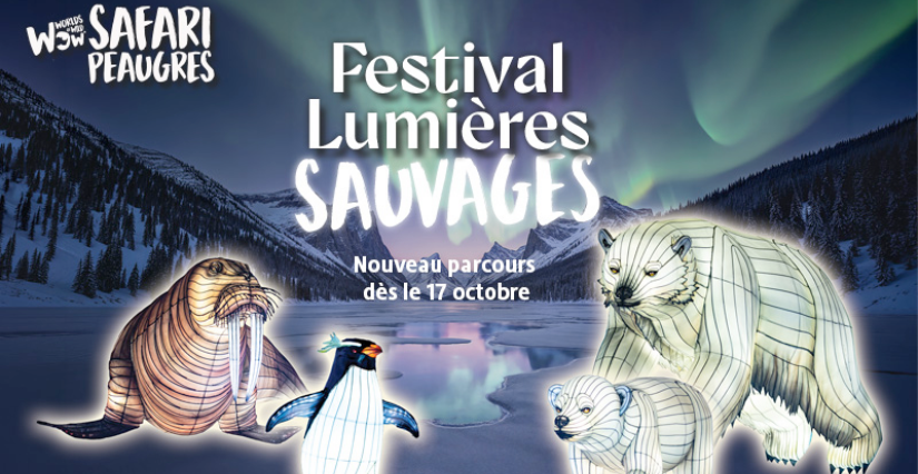 Festival Lumières Sauvages au Wow Safari Peaugres 